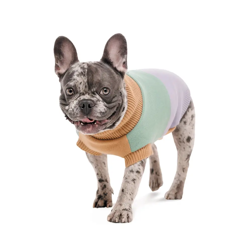 Pet Fashion Светр Rich для собак