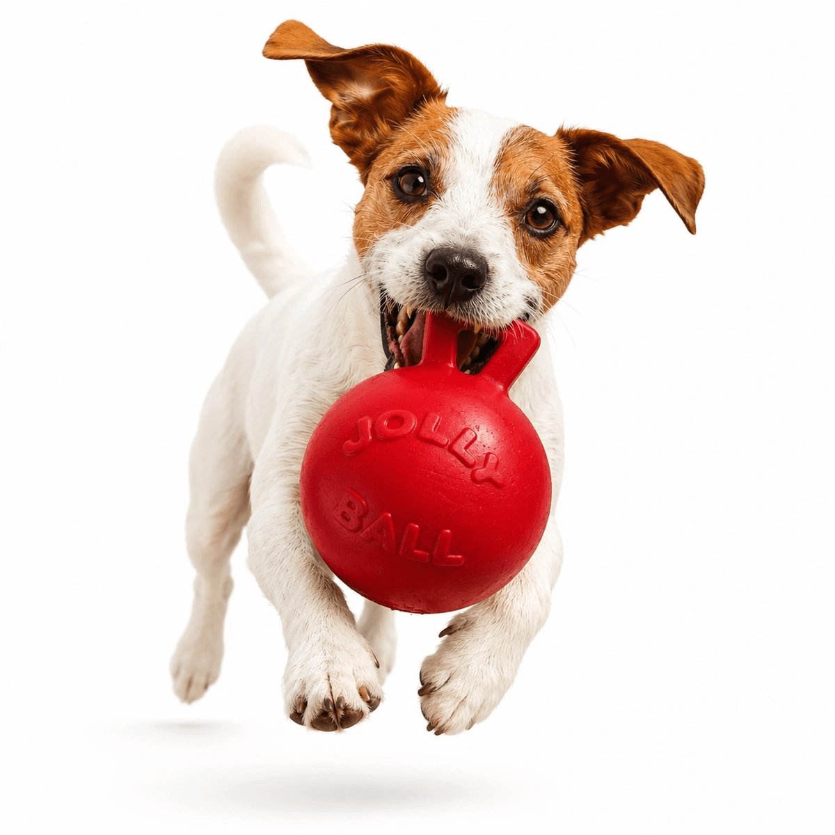 Іграшка-гиря для собак Jolly Pets Tug-n-Toss