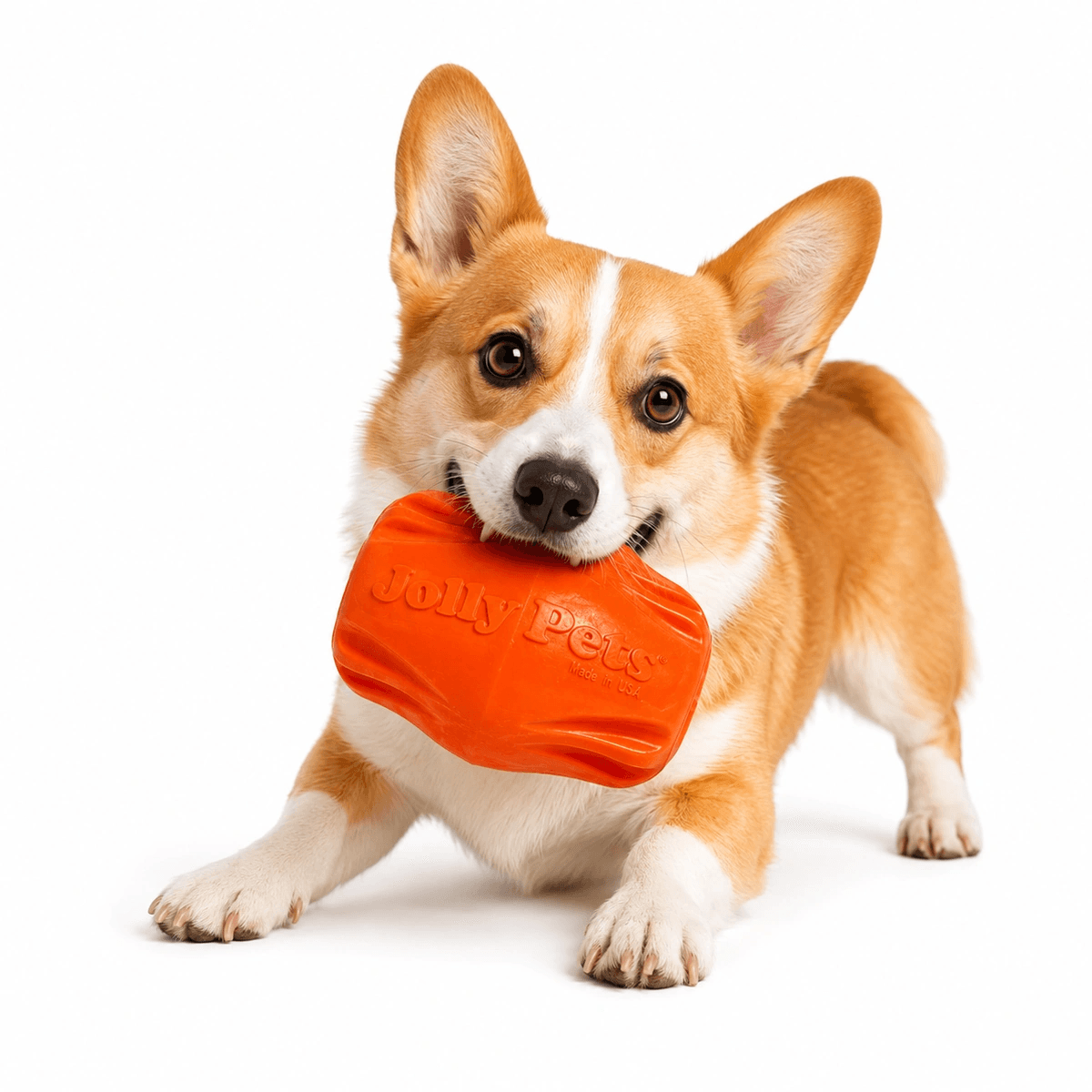 Іграшка для собак Jolly Pets Flex-n-Chew Bobble