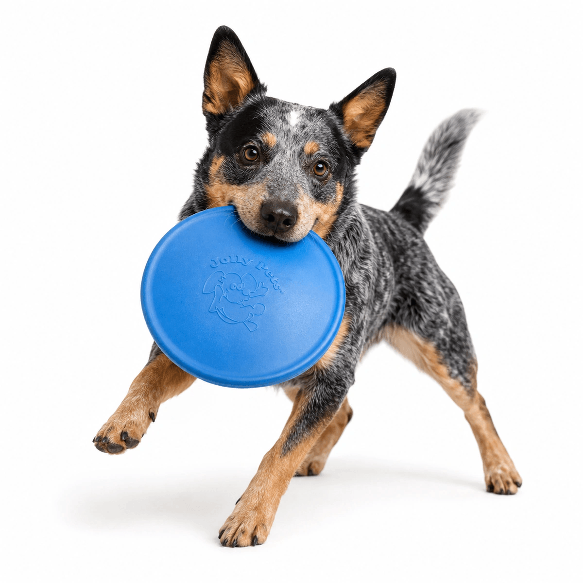 Іграшка-фрисбі для собак Jolly Pets Jolly Flyer