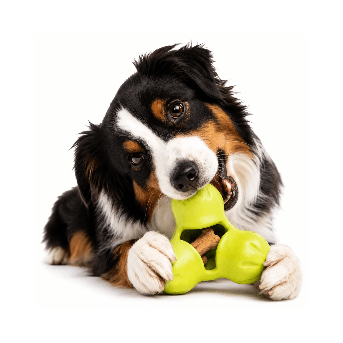 Іграшка-диспенсер для ласощів для собак West Paw Tux Treat Toy
