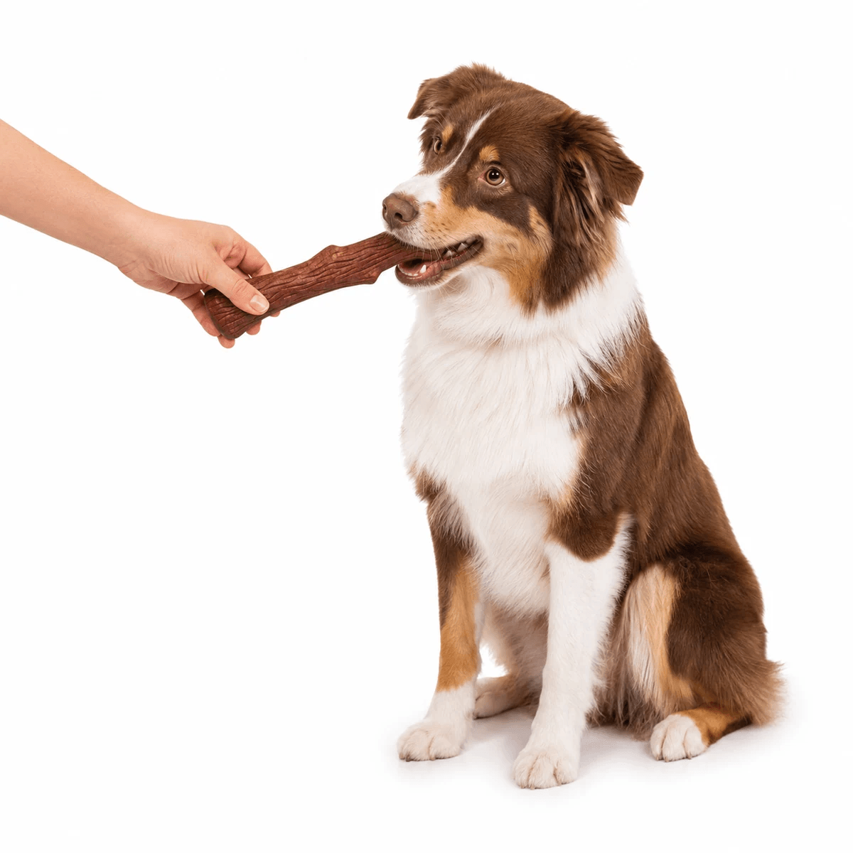 Міцна іграшка-гілка для жування для собак Petstages Dogwood Mesquite з натурального дерева Mesquite з ароматом барбекю