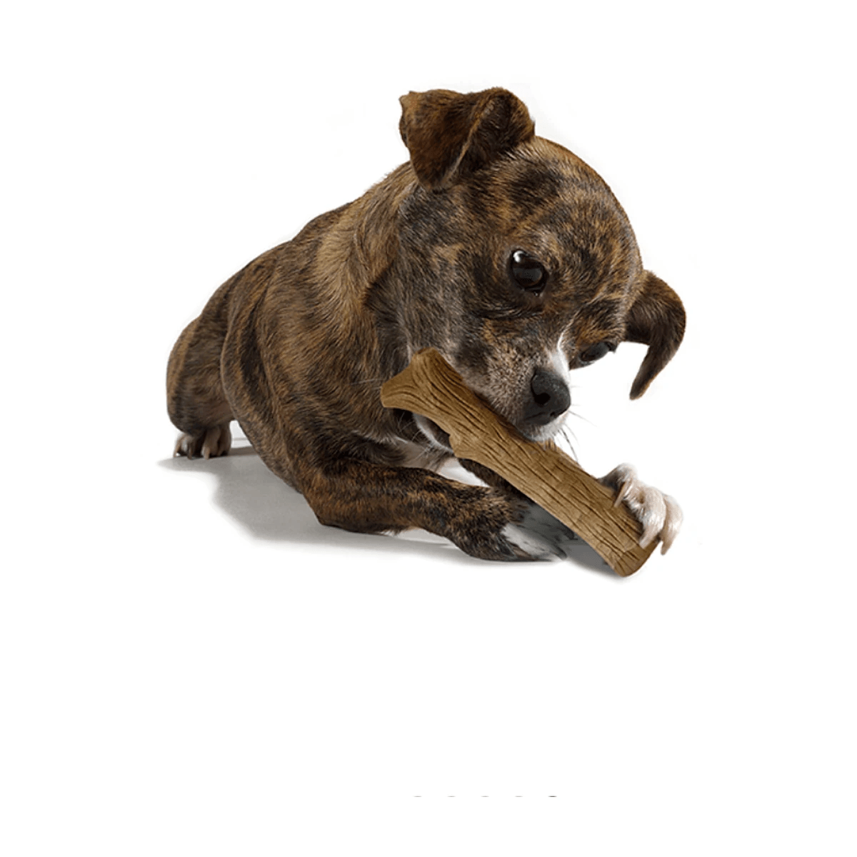 Міцна іграшка-гілка для жування для собак Petstages Dogwood Stick з натурального дерева